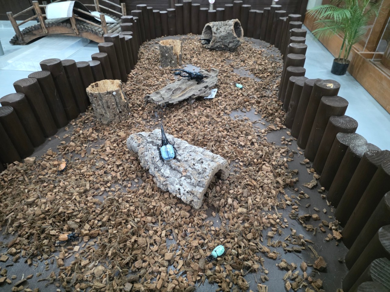 다운로드 (6).jpg